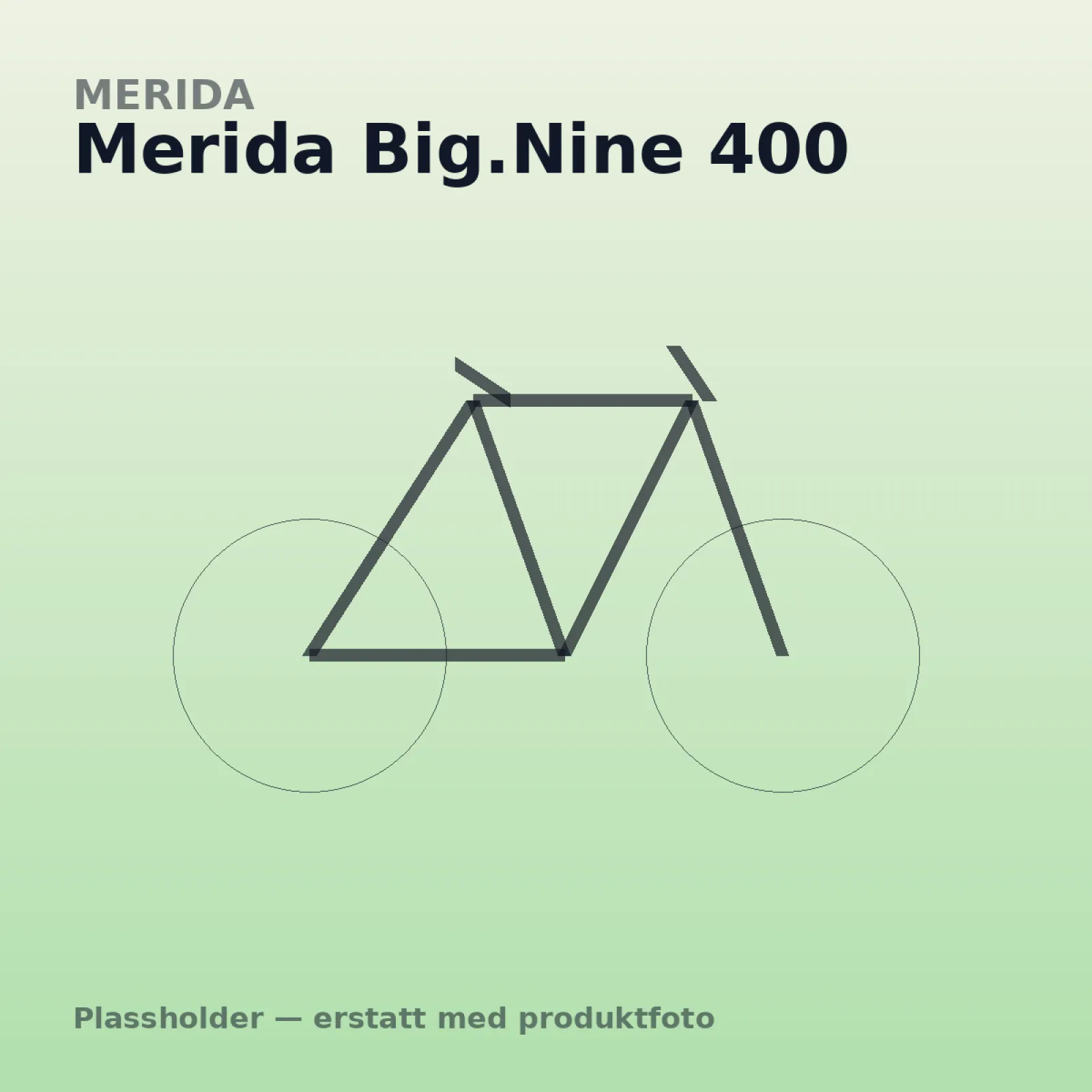 Merida Big.Nine 400
