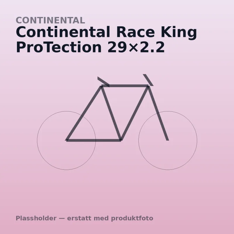 Continental Race King ProTection 29×2.2