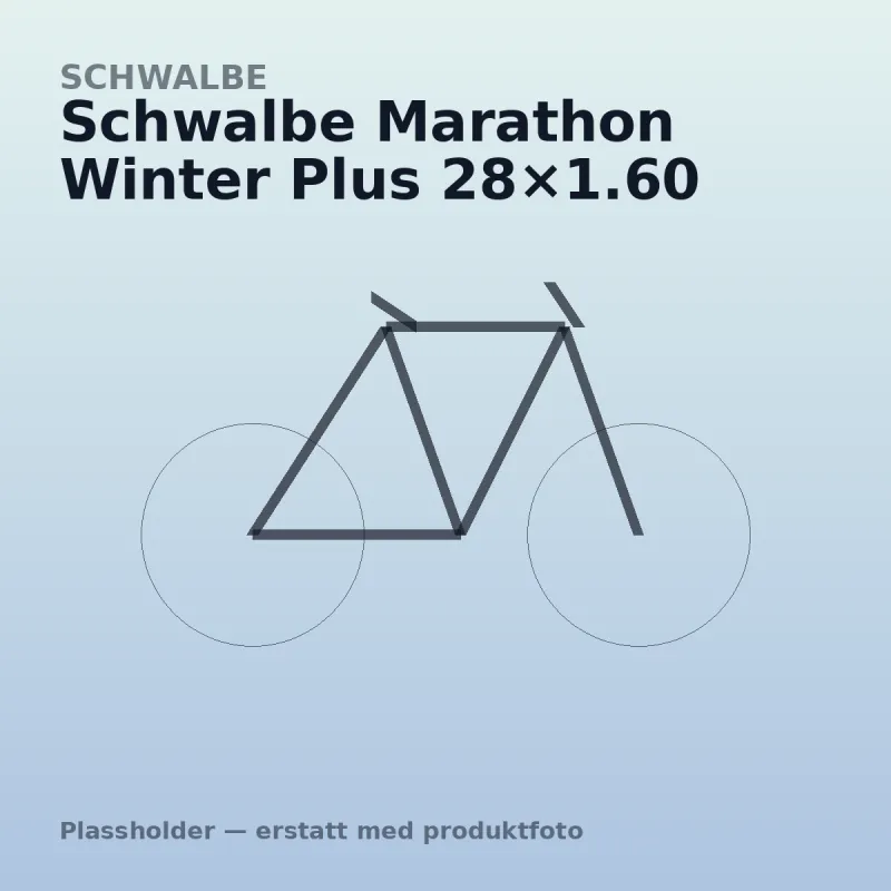 Schwalbe Marathon Winter Plus 28×1.60