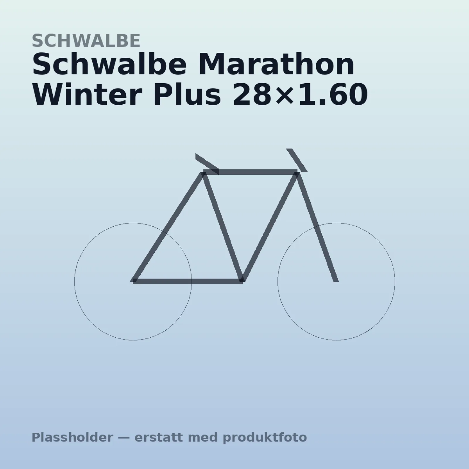 Schwalbe Marathon Winter Plus 28×1.60