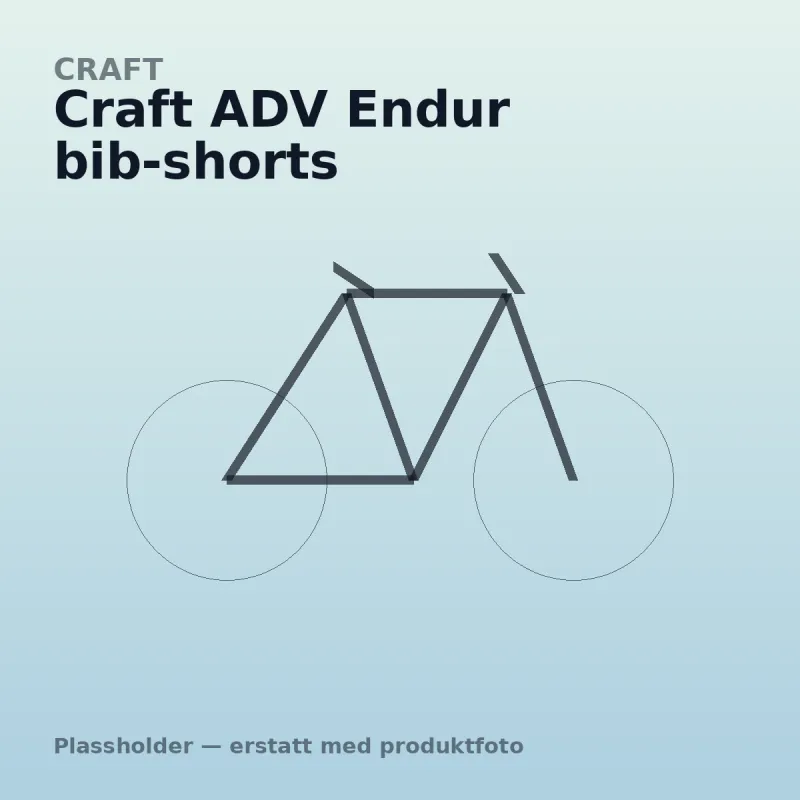 Craft ADV Endur bib-shorts