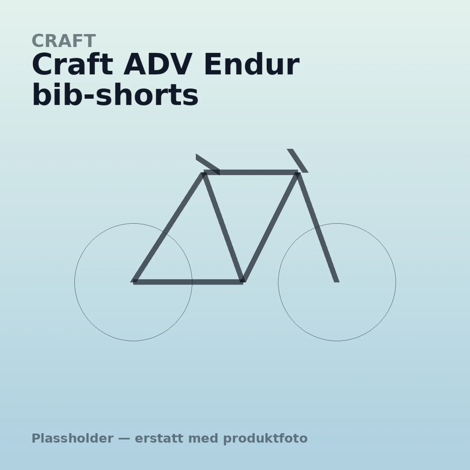 Craft ADV Endur bib-shorts