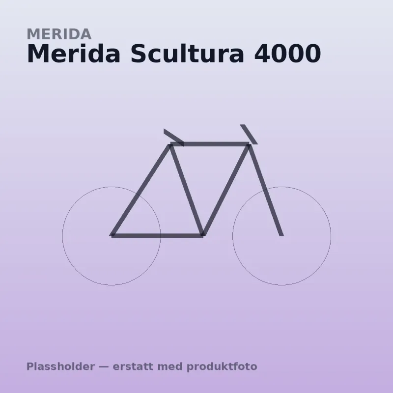 Merida Scultura 4000