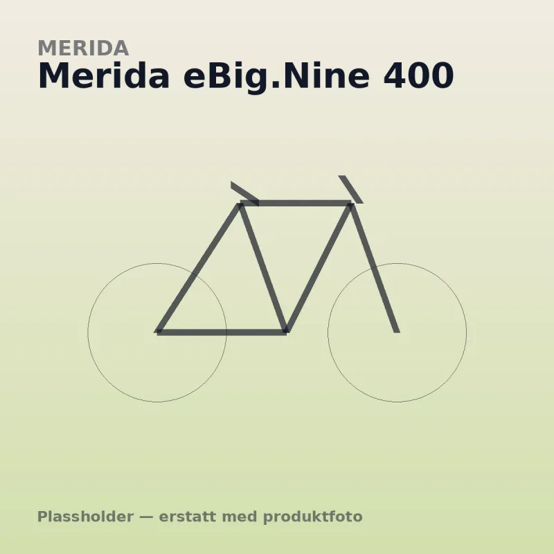Merida eBig.Nine 400